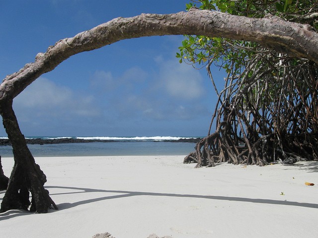 galapagos beach